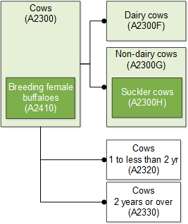 A2300-Cows SE 20190724 EN.png