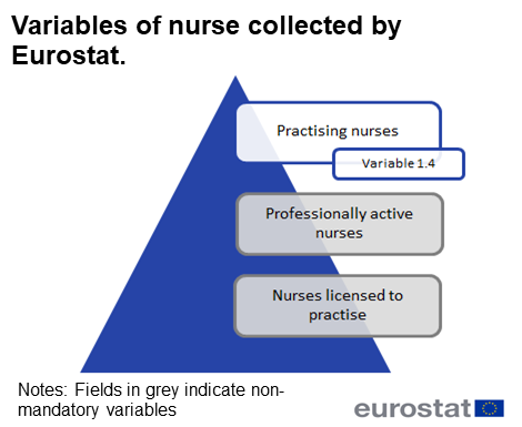 Infographic displaying the categories of nurses, and colour coded according to whether they are mandatory or not. The categories are practising nurses, professionally active nurses and nurses licensed to practice. The variable practising nurses is variable 1.4 and is mandatory. The variables for professionally active and licensed to practice are voluntary and are marked in grey.