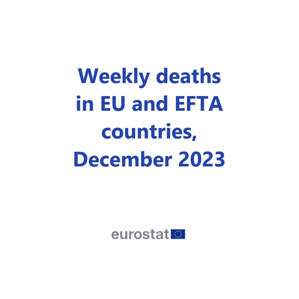 Gifdec2023.gif
