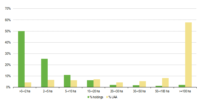 File:Figure 1 Number of holdings and Utilised Agriculture Area by size classes of AA in Portugal 2010.PNG