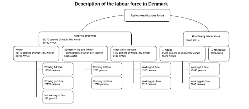 File:Description of the labour force in Denmark, 2007.PNG
