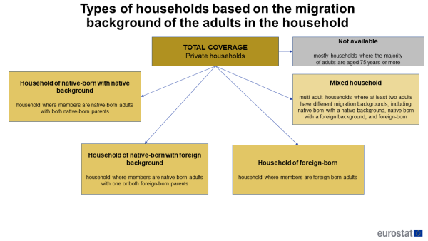 A flow chart showing the types of households based on the migration status of the adults in the household