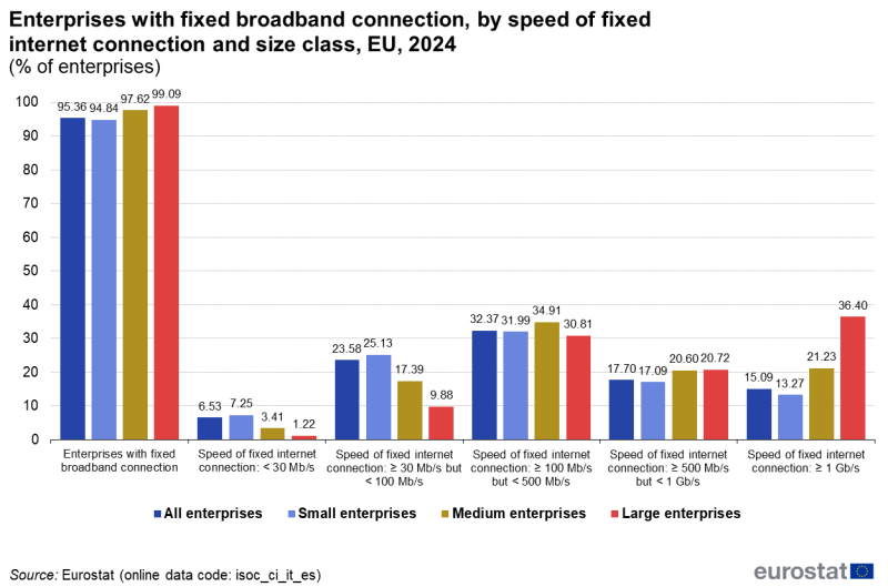 File:Enterprises with fixed broadband connection, by speed of fixed internet connection and size class, EU, 2024 (% of enterprises).png