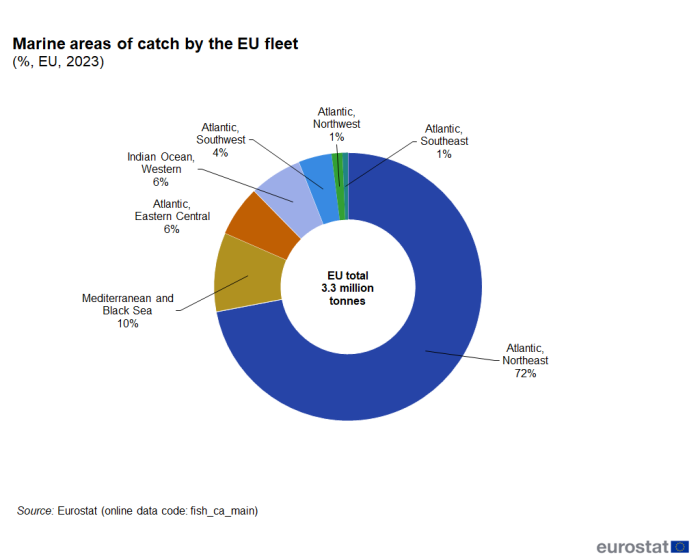 Doughnut chart showing percentage marine areas of catch by the EU fleet. Seven segments represent seven marine areas in the Atlantic and Indian oceans and the Mediterranean and Black seas for the year 2023.