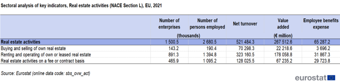 Table showing sectoral analysis of key indicators of real estate activities in the EU for the year 2021.