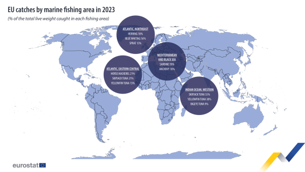 Map showing the main EU catches by marine fishing area, by percentage share of the total live weight caught.