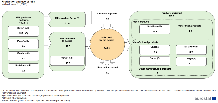 Infographic showing production and use of different types of milk in million tonnes in the EU for the year 2023.