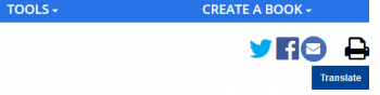 Automatic translation.PNG