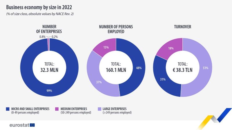 File:Business economy by size in 2022.jpg