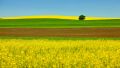 My Good Images Shutterstock 114392641 RV.jpg