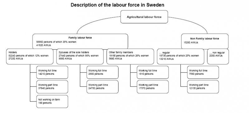 File:Description of the labour force in Sweden, 2007.PNG