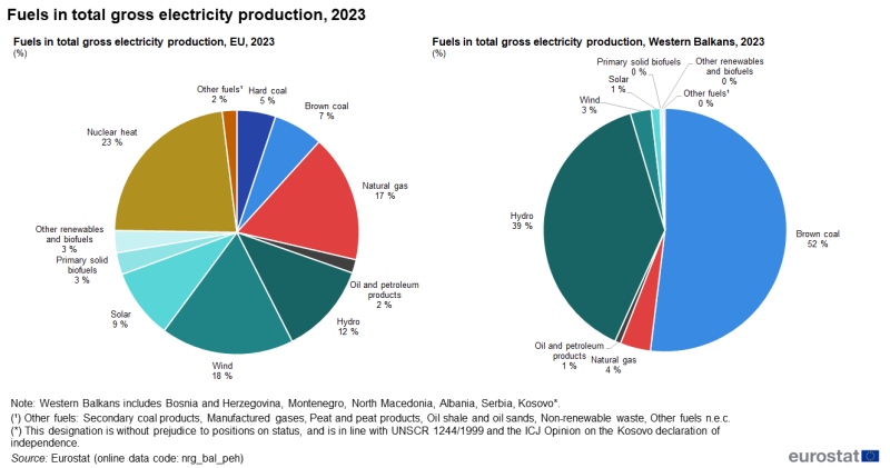 File:Fuels in total gross electricity production, 2023.png