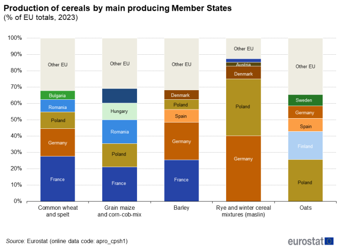 Stacked vertical bar chart showing production of cereals by main producing Member States as percentage of EU totals. Five columns represent the cereal categories. Totalling 100 percent, each column contains six stacks of five named countries and one for all other EU countries for the year 2023.