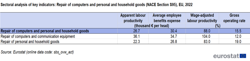 File:T 2 b Sectoral analysis of key indicators Repair of computers (NACE Section S95), EU, 2022 v 3 .png