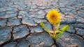 AndreusK AdobeStock 267998848 RV.jpg