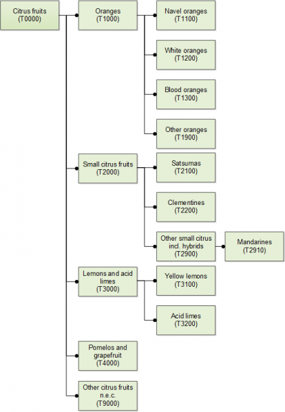 File:T0000-Citrus fruits SE 20190917 ENpng.png