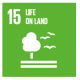 SDG15.PNG