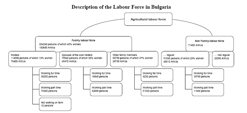 File:Description of the Labour Force in Bulgaria, 2007.png