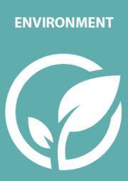 Icons 4 beginners enviroment.jpg