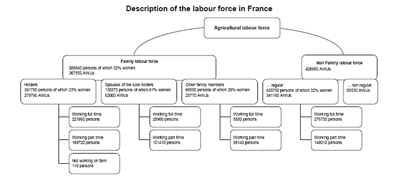 File:Description of the labour force in France, 2007.PNG