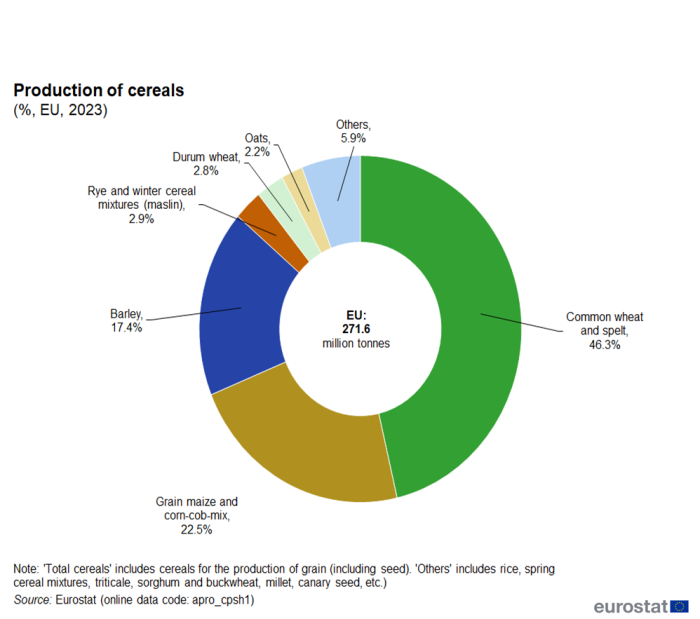 Doughnut chart showing production of different cereals in percentages in the EU for the year 2023.
