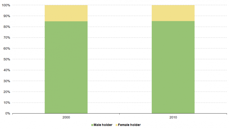 File:Figure Sole Holders by Gender BE 2000 and 2010.PNG