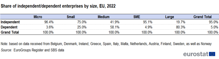 A table showing the share of the number of active enterprises in every size class (micro, small, medium, SME, large for the year 2022.