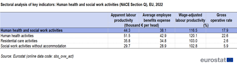 File:T 2b Sectoral analysis of key indicators Human health and social work activities (NACE Section Q), EU, 2022.png