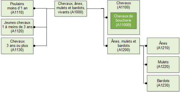 A100-Equidae SE 20191011 FR.png