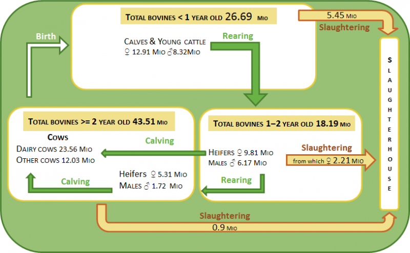 File:Bovine livestock and its production cycle, 2014.png