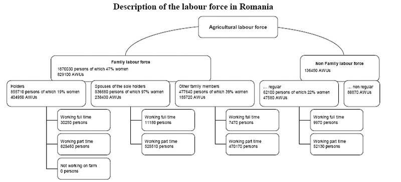 File:Description of the labour force in Romania, 2007.png