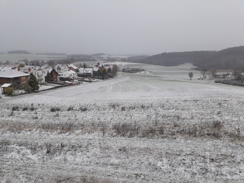 an image showing example of soil cover on arable land in the winter, multi-annual crops in the front, normal winter crops sown in the back.
