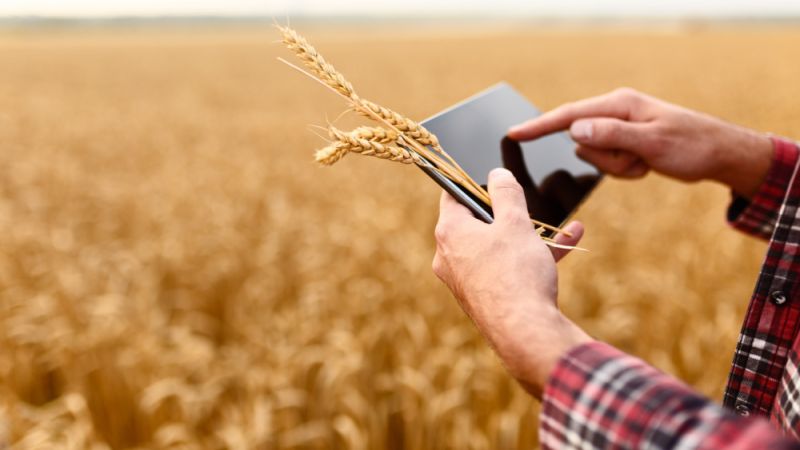 File:Artiemedvedev AdobeStock 165342095 RV.jpg